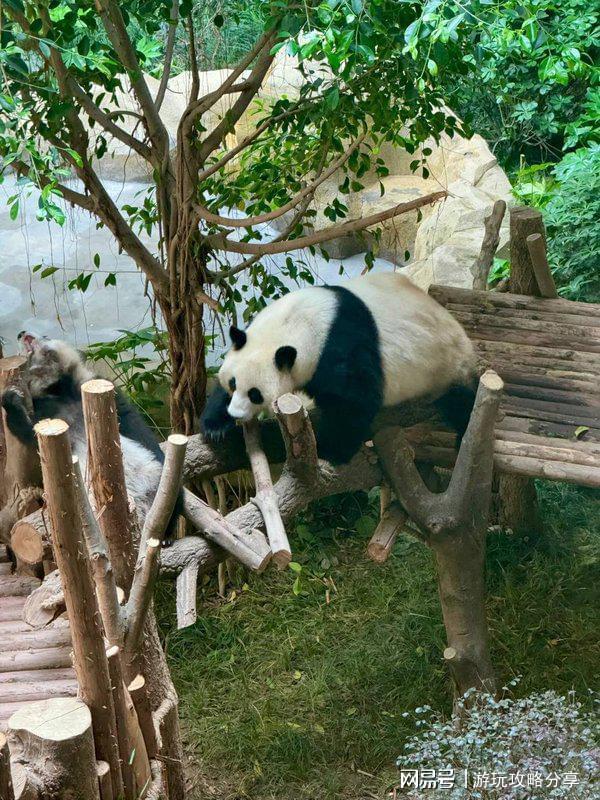 荐 四川适合几月份去旅游景点 玩转精华！九游会j9入口登录新版成都的著名景点推(图5)