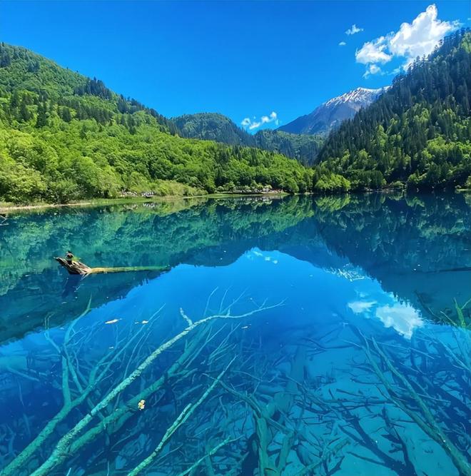 川旅游四天跟团还是自由行？如何玩更舒适j9九游会入口成都4日游旅游攻略：四(图3)