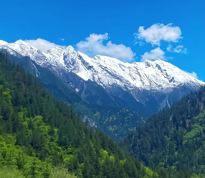 川旅游四天跟团还是自由行？如何玩更舒适j9九游会入口成都4日游旅游攻略：四(图2)